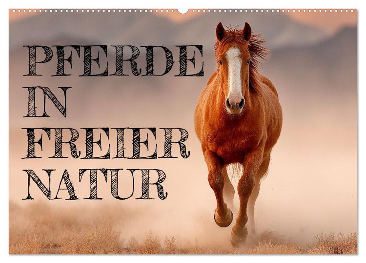 Produktbild: Pferde in freier Natur (Wandkalender 2026 DIN A2 quer), CALVENDO Monatskalender