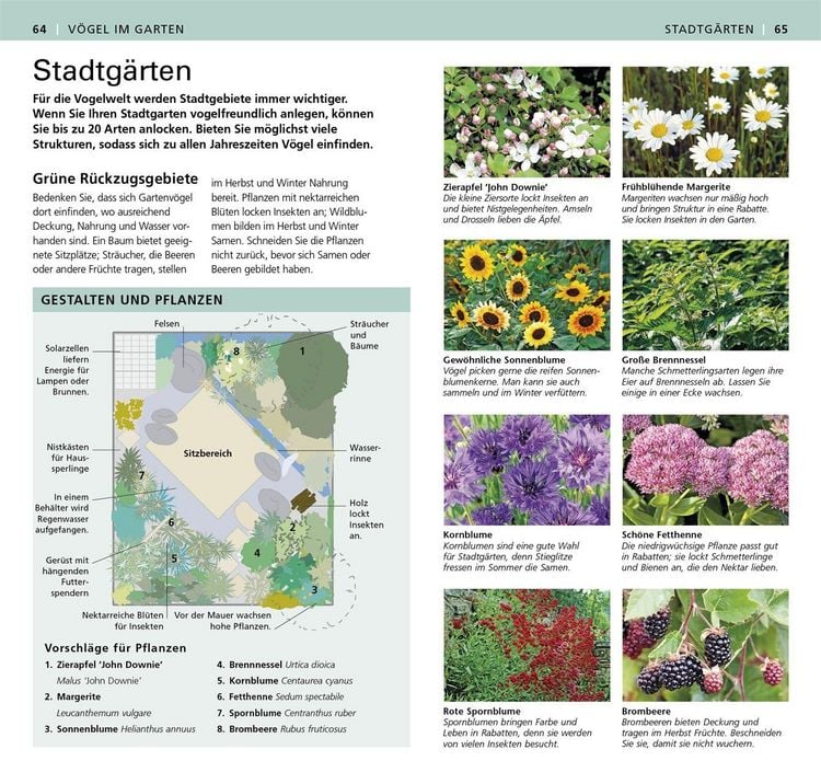 Produktbild: Gartenv&ouml;gel beobachten und bestimmen