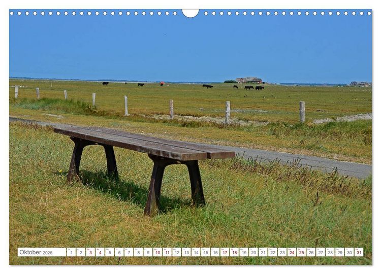 Produktbild: Sommertage auf Langeness (Wandkalender 2026 DIN A3 quer), CALVENDO Monatskalender