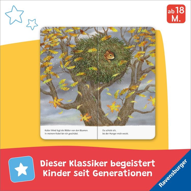 Produktbild: Ich bin das kleine Eichh&ouml;rnchen