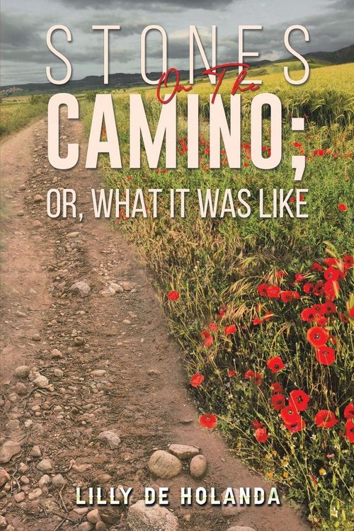 Produktbild: Stones on the Camino; or, What It Was Like
