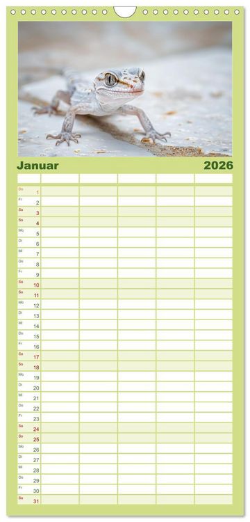 Produktbild: Familienplaner 2026 - Kleine Echsen haben Spass mit 5 Spalten (Wandkalender, 21 x 45 cm) CALVENDO
