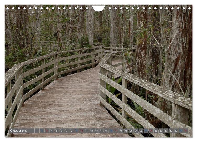 Produktbild: Sunshine State Florida Natur, Tierwelt und Nationalparks (Wandkalender 2027 DIN A4 quer), CALVENDO Monatskalender