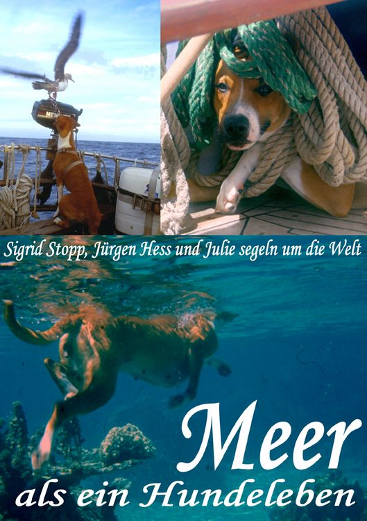 Produktbild: Meer als ein Hundeleben