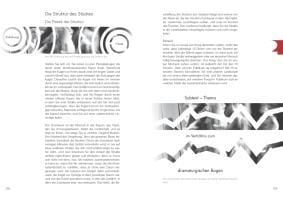 Produktbild: Choreographie &ndash; Handwerk und Vision