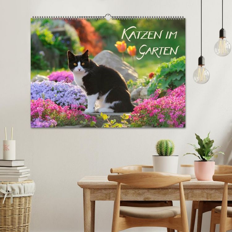 Produktbild: Katzen im Garten (Wandkalender 2026 DIN A2 quer), CALVENDO Monatskalender