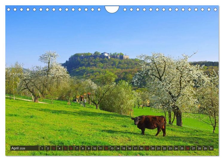 Produktbild: Die Sch&ouml;nheit der S&auml;chsischen Schweiz (Wandkalender 2026 DIN A4 quer), CALVENDO Monatskalender