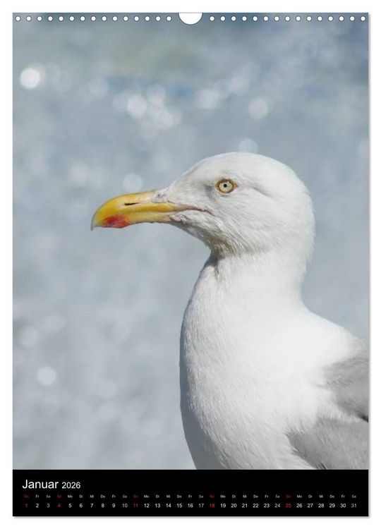 Produktbild: Helgoland in der Nordsee (Wandkalender 2026 DIN A3 hoch), CALVENDO Monatskalender