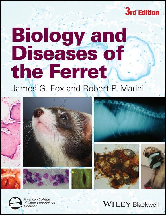 Produktbild: Biology and Diseases of the Ferret