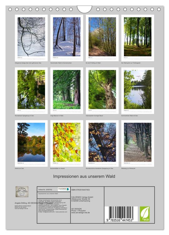 Produktbild: Impressionen aus unserem Wald (Wandkalender 2026 DIN A4 hoch), CALVENDO Monatskalender