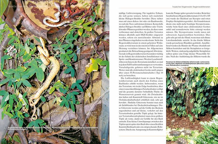 Produktbild: Pflanzen im Terrarium