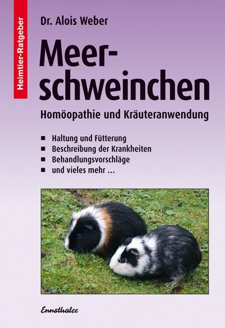 Produktbild: Meerschweinchen