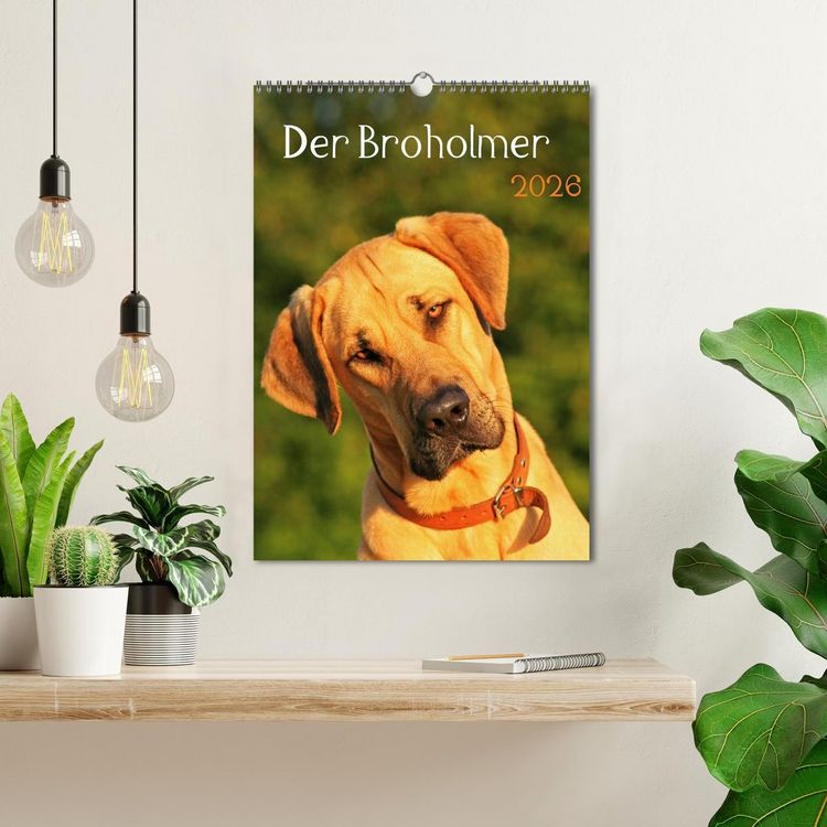 Produktbild: Der Broholmer (Wandkalender 2026 DIN A3 hoch), CALVENDO Monatskalender