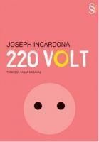 Produktbild: 220 Volt