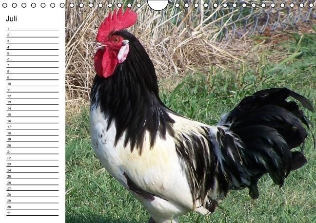 Produktbild: H&uuml;hner / Geburtstagskalender (Wandkalender immerw&auml;hrend DIN A4 quer)