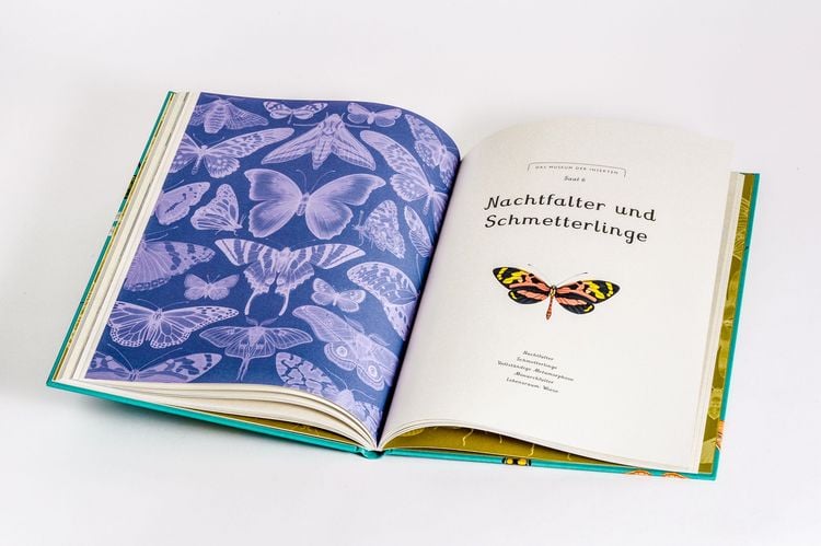 Produktbild: Das Museum der Insekten