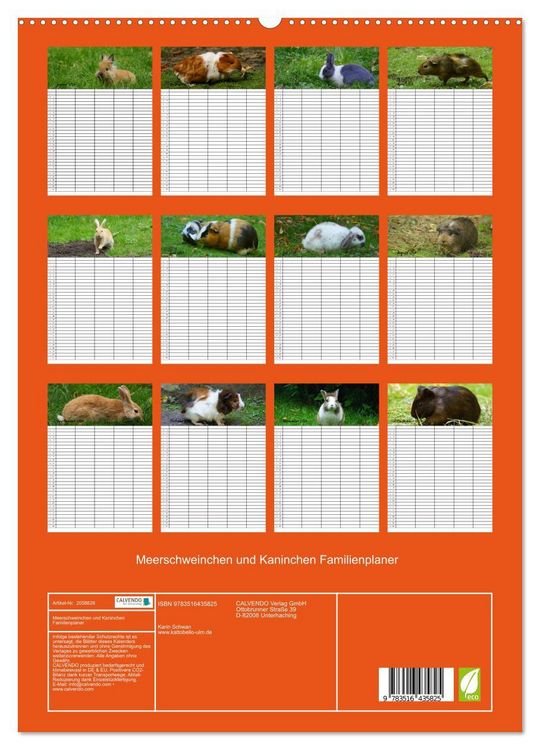 Produktbild: Meerschweinchen und Kaninchen Familienplaner (hochwertiger Premium Wandkalender 2026 DIN A2 hoch), Kunstdruck in Hochglanz