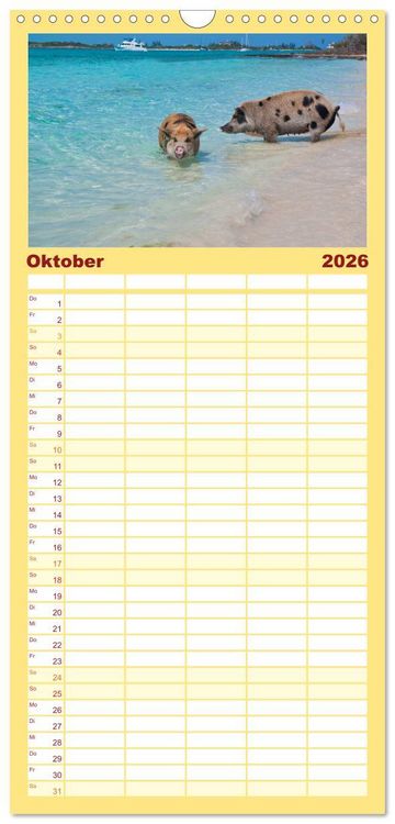 Produktbild: Familienplaner 2026 - Schweine im Dauerurlaub auf den Bahamas! mit 5 Spalten (Wandkalender, 21 x 45 cm) CALVENDO