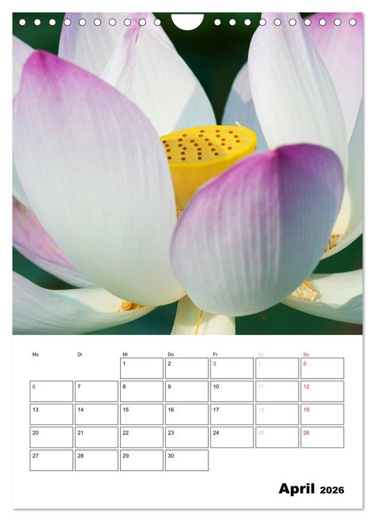 Produktbild: MEDITATION - Wellness f&uuml;r die Seele (Wandkalender 2026 DIN A4 hoch), CALVENDO Monatskalender