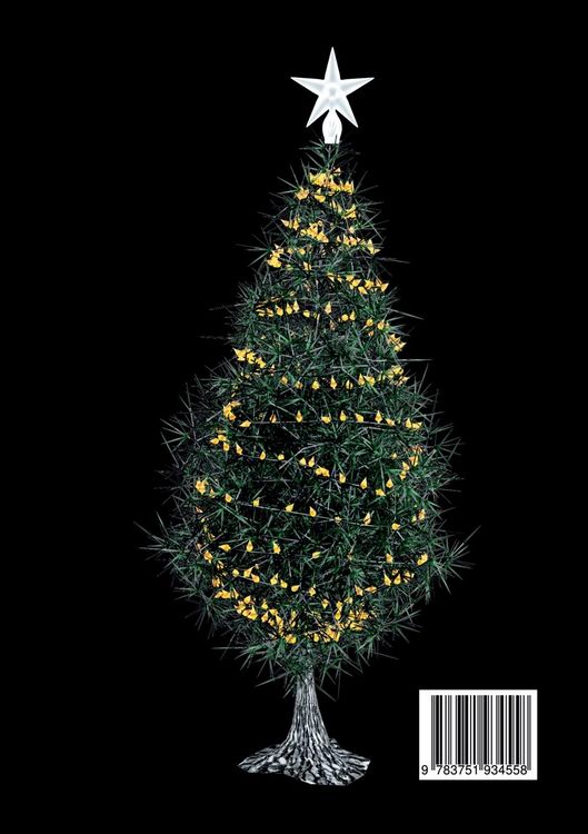Produktbild: Silvester und Weihnachtsmarkt geben sich die Ehre