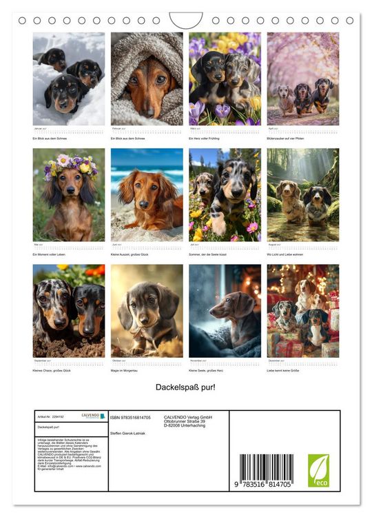Produktbild: Dackelspa&szlig; pur! (Wandkalender 2027 DIN A4 hoch), CALVENDO Monatskalender