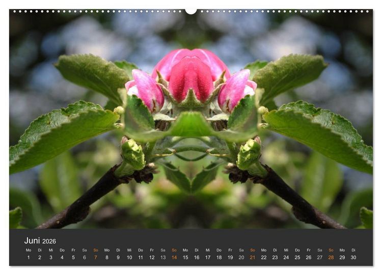 Produktbild: Spiegelwelten - Im Reich der Naturwesen (Wandkalender 2026 DIN A2 quer), CALVENDO Monatskalender