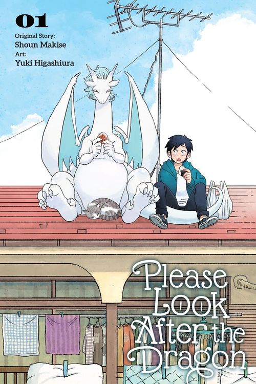 Produktbild: Please Look After the Dragon, Vol. 1