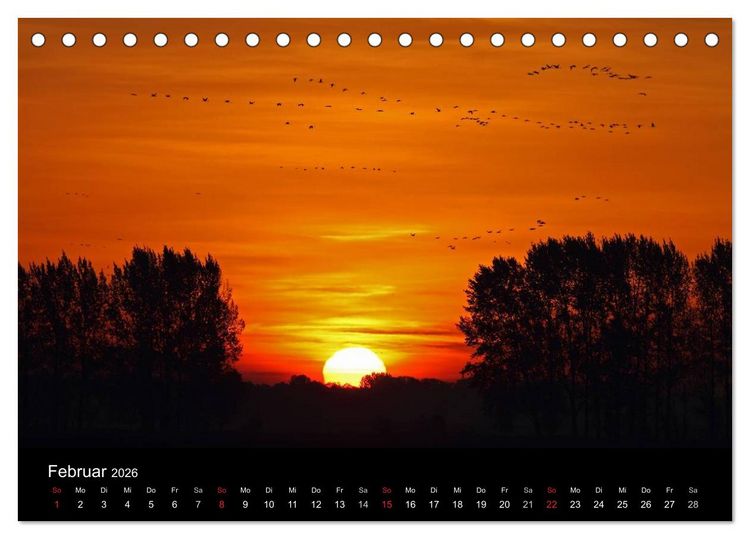 Produktbild: Kranich-Land Brandenburg (Tischkalender 2026 DIN A5 quer), CALVENDO Monatskalender