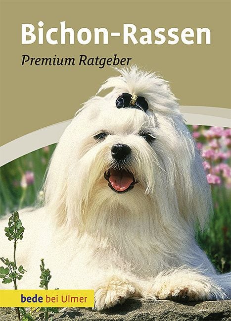 Produktbild: Bichon-Rassen