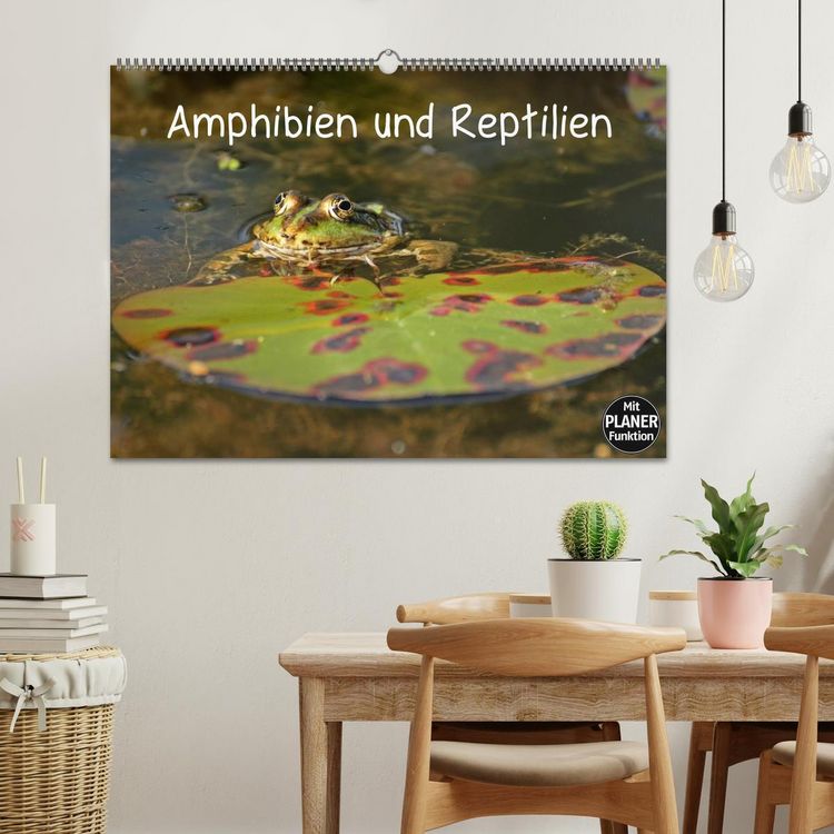 Produktbild: Amphibien und Reptilien (Wandkalender 2026 DIN A2 quer), CALVENDO Monatskalender