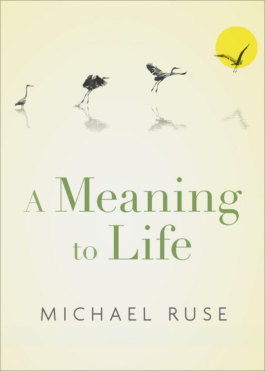 Produktbild: A Meaning to Life