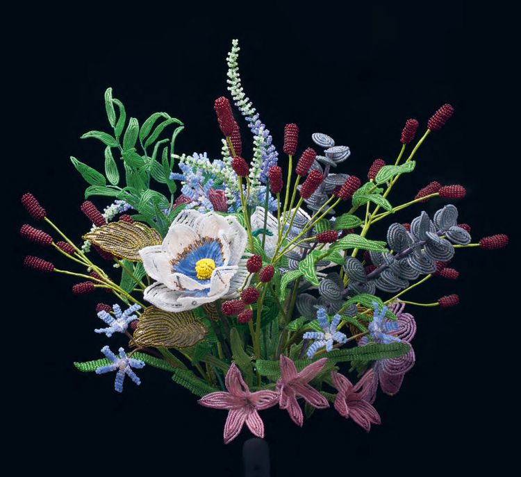 Produktbild: Flora ad infinitum
