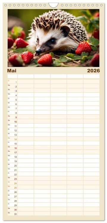 Produktbild: Familienplaner 2026 - Igel - Wildtier des Jahres 2024 mit 5 Spalten (Wandkalender, 21 x 45 cm) CALVENDO
