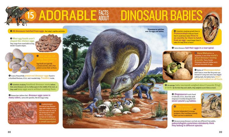 Produktbild: 1,000 Facts about Dinosaurs, Fossils, and Prehistoric Life