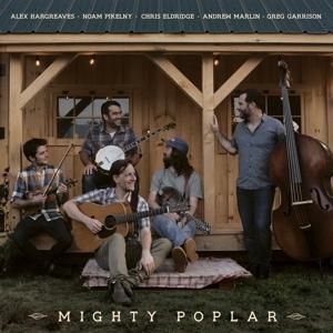 Produktbild: Mighty Poplar