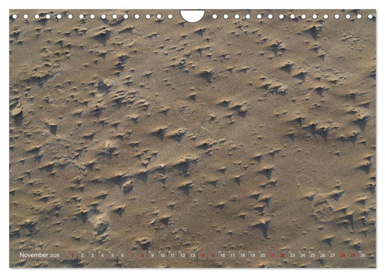 Produktbild: Einmaliges Westerhever (Wandkalender 2026 DIN A4 quer), CALVENDO Monatskalender
