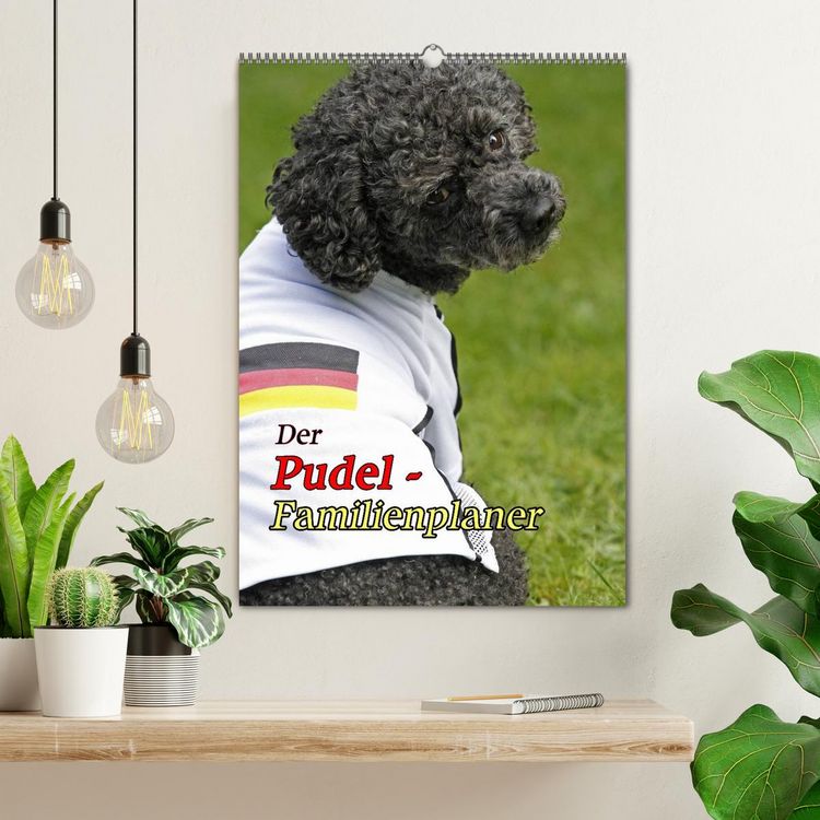 Produktbild: Der Pudel-Familienplaner (Wandkalender 2026 DIN A2 hoch), CALVENDO Monatskalender