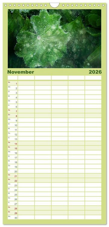 Produktbild: Familienplaner 2026 - 12 Farben Kunst und K&uuml;che mit 5 Spalten (Wandkalender, 21 x 45 cm) CALVENDO