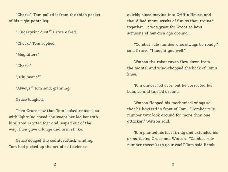 Produktbild: The Raven Riddle