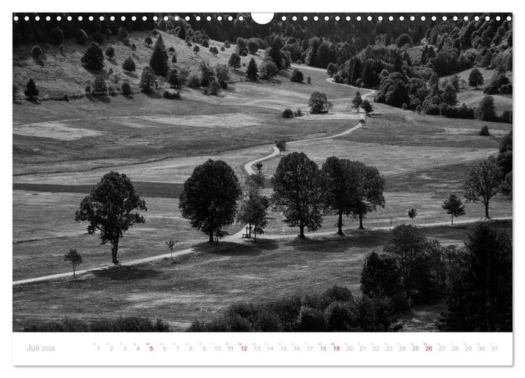 Produktbild: Mystischer Schwarzwald (Wandkalender 2026 DIN A3 quer), CALVENDO Monatskalender