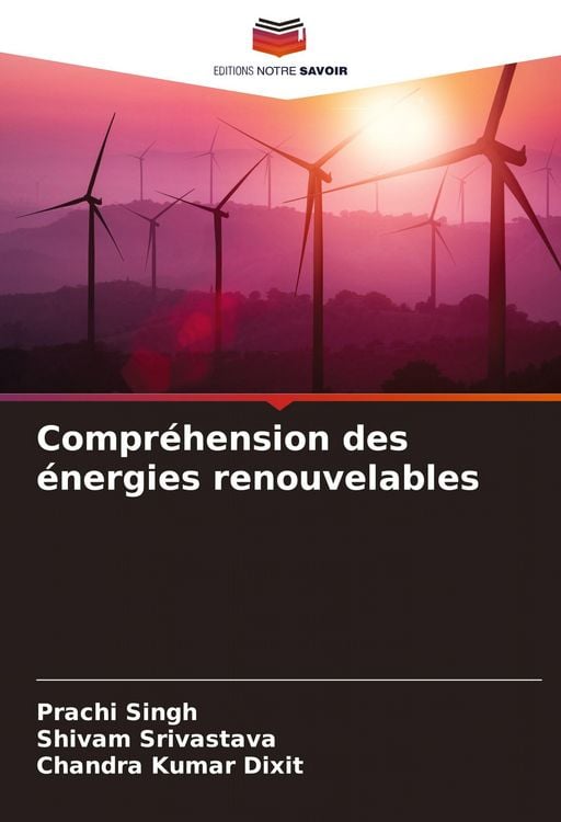 Produktbild: Compr&eacute;hension des &eacute;nergies renouvelables