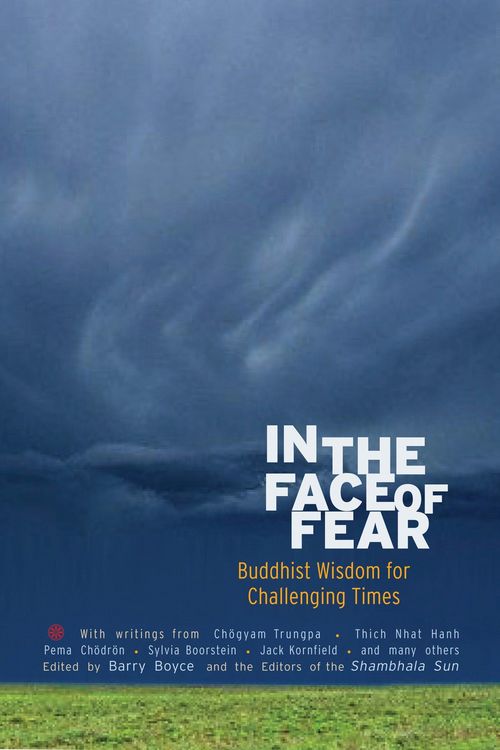 Produktbild: In the Face of Fear