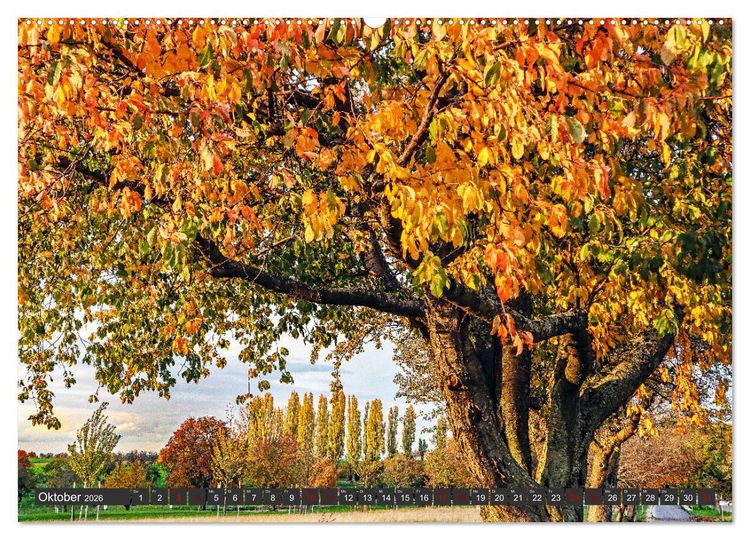 Produktbild: Karlsruhes Osten (hochwertiger Premium Wandkalender 2026 DIN A2 quer), Kunstdruck in Hochglanz