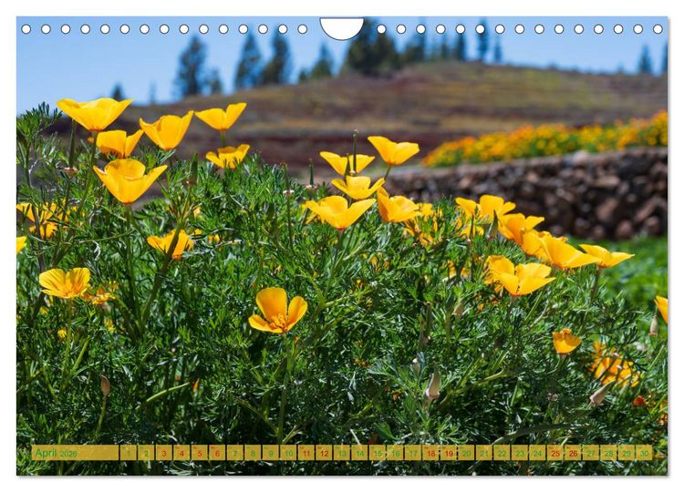 Produktbild: Landschaften der Kanaren - Traumziele f&uuml;r Wanderer (Wandkalender 2026 DIN A4 quer), CALVENDO Monatskalender