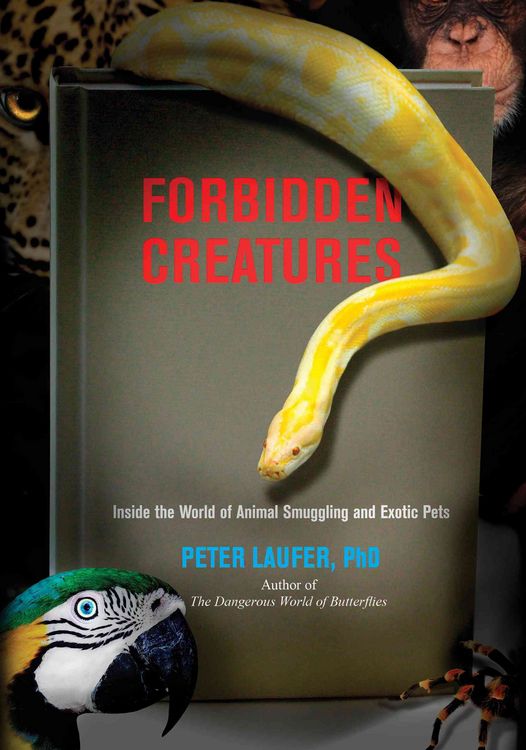 Produktbild: Forbidden Creatures