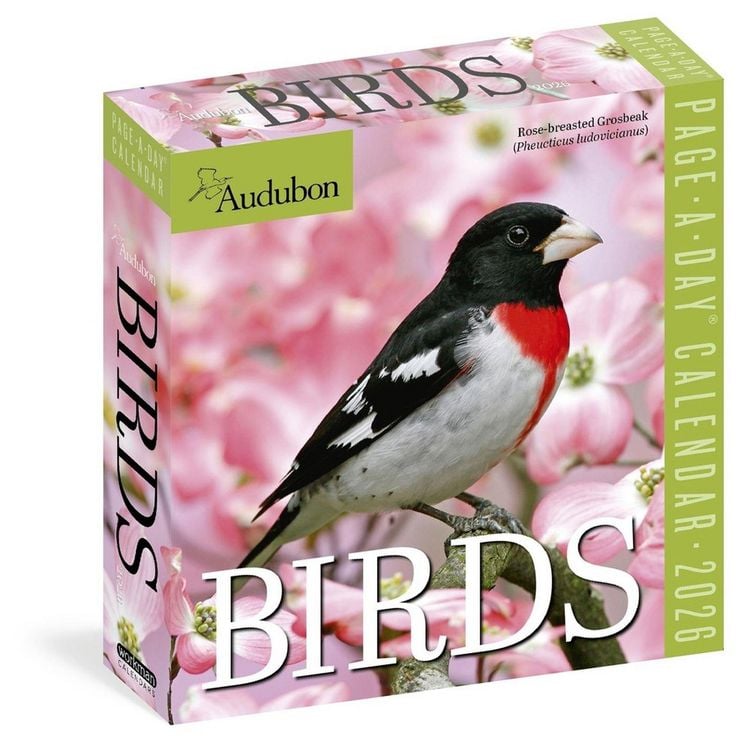 Produktbild: Audubon Birds Page-A-Day(r) Calendar 2026