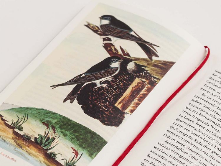 Produktbild: Die Erkundung von Selborne durch Reverend Gilbert White