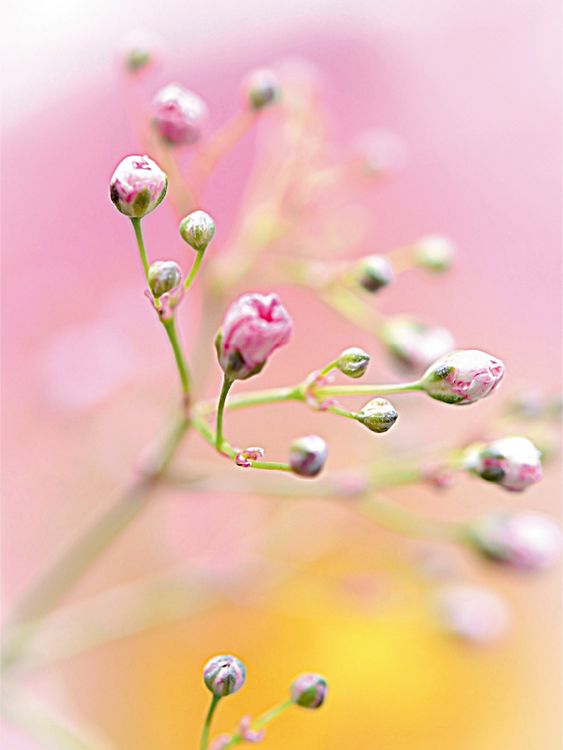 Produktbild: CALVENDO Puzzle W&auml;rme 1000 Teile Puzzle hoch | 1000 Teile Lege-Gr&ouml;&szlig;e 64 &times; 48 cm Foto-Puzzle f&uuml;r gl&uuml;ckliche Stunden