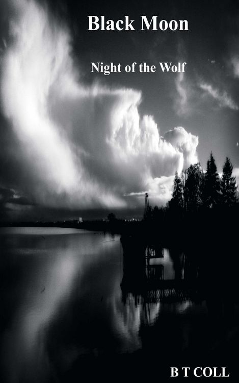 Produktbild: Black Moon Night of the Wolf