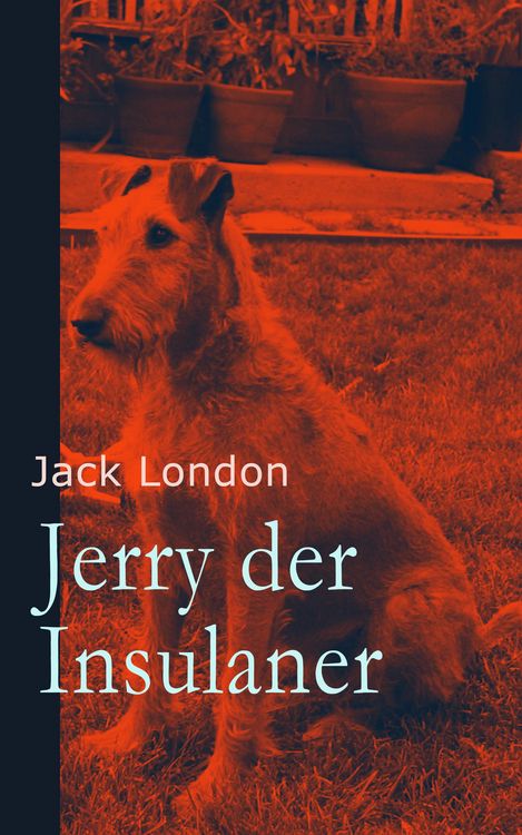 Produktbild: Jerry der Insulaner